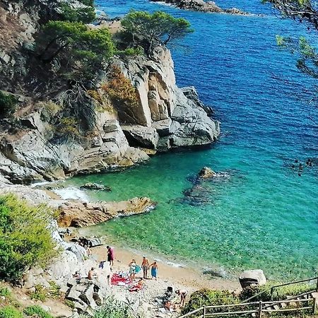 Ferienwohnung La Calma De Tossa Gerona Exterior foto