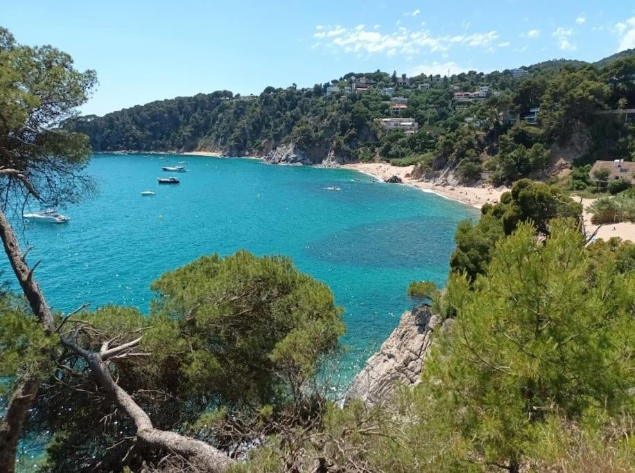 Ferienwohnung La Calma De Tossa Gerona Exterior foto