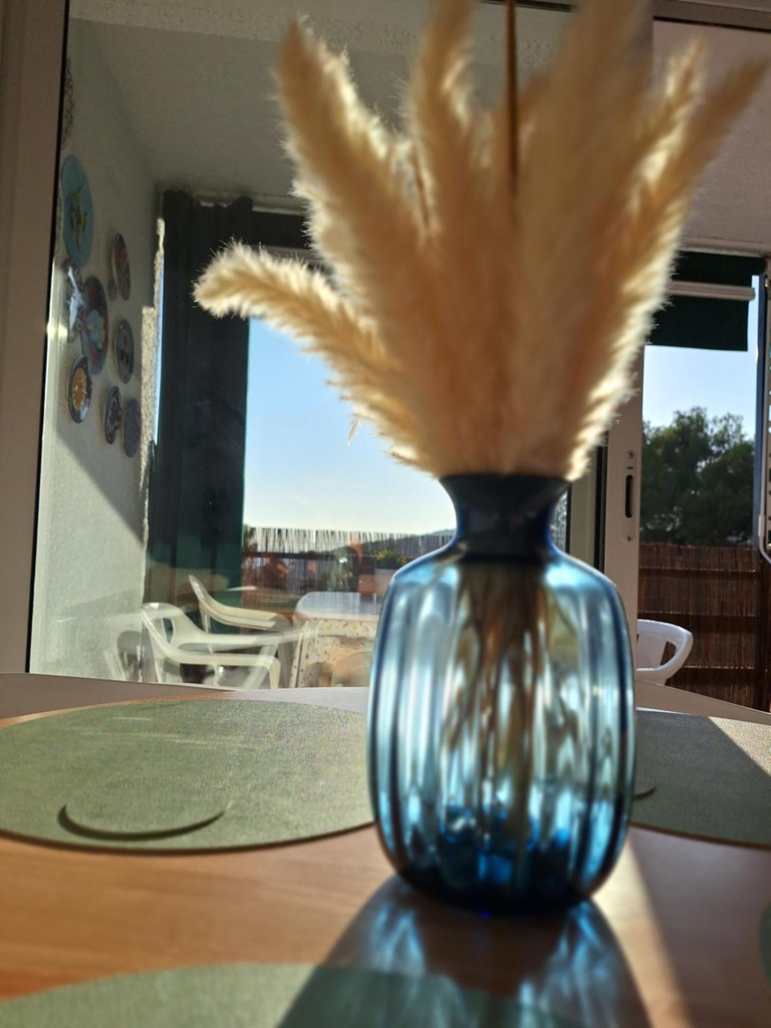 Ferienwohnung La Calma De Tossa Gerona Exterior foto